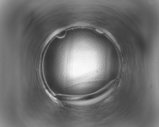 X0000079301245200611251705