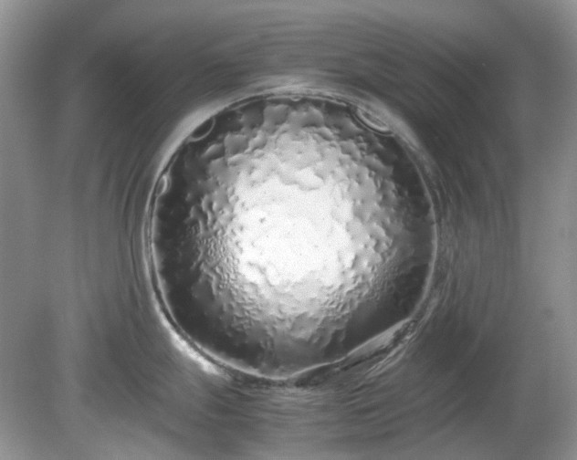 X0000079301247200611251705