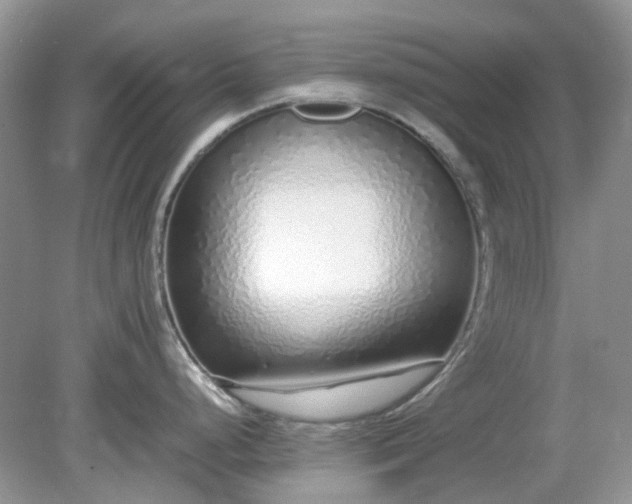 X0000079301248200611251705