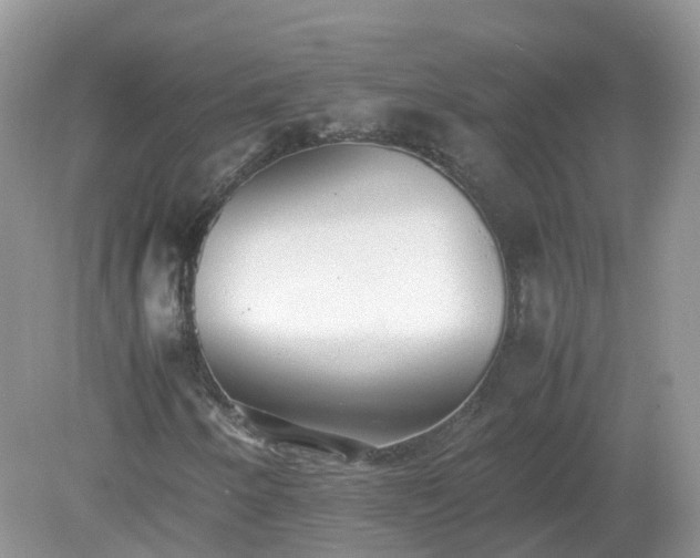 X0000079301250200611251704
