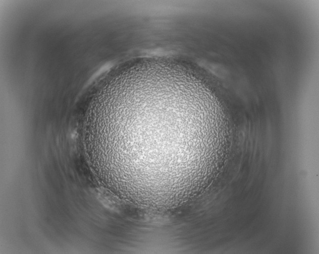 X0000079301254200611251704