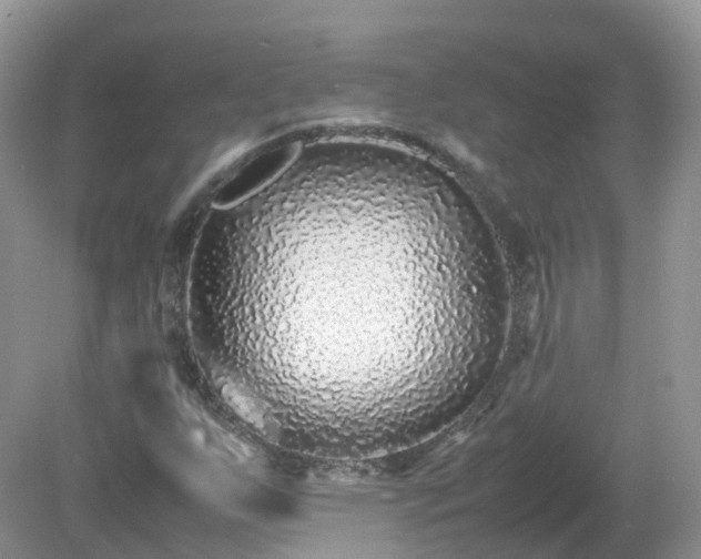 X0000079301255200611251704