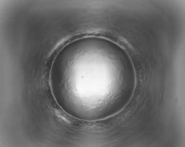 X0000079301256200611251704