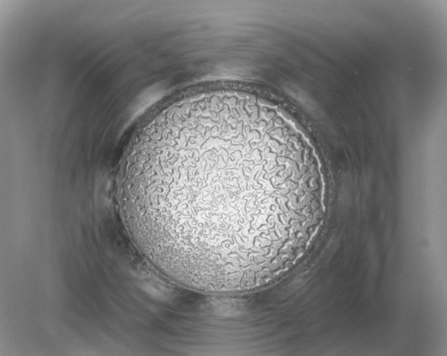 X0000079301258200611251704