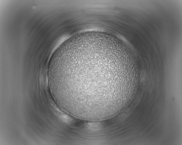X0000079301274200611251703