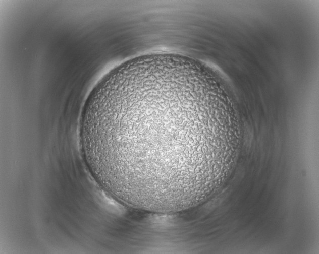X0000079301278200611251703