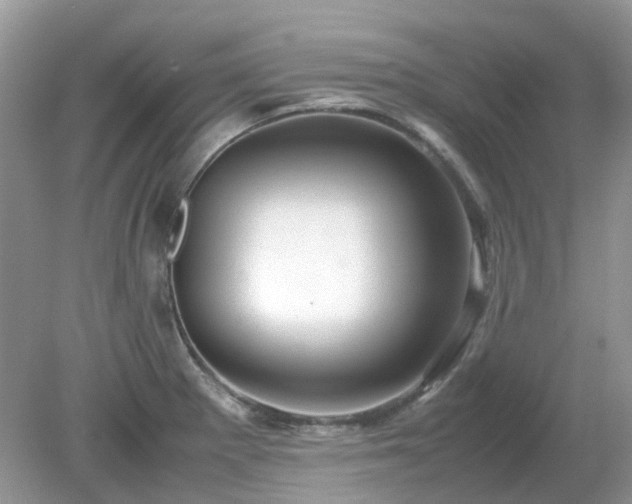 X0000079301281200611251703