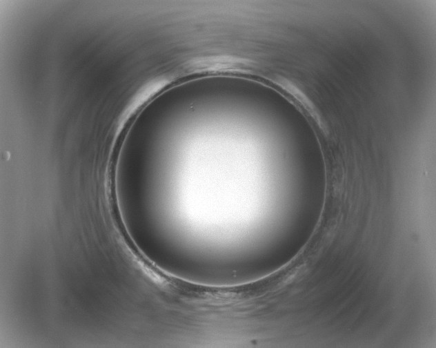 X0000079301285200611251703