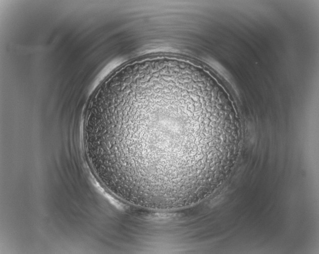 X0000079301290200611251703