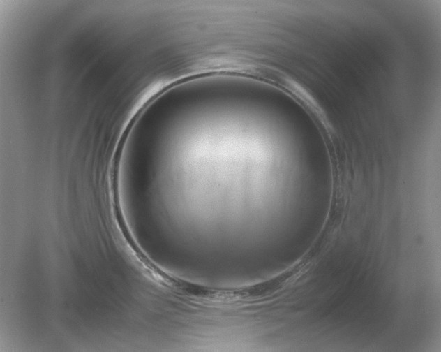 X0000079301291200611251703