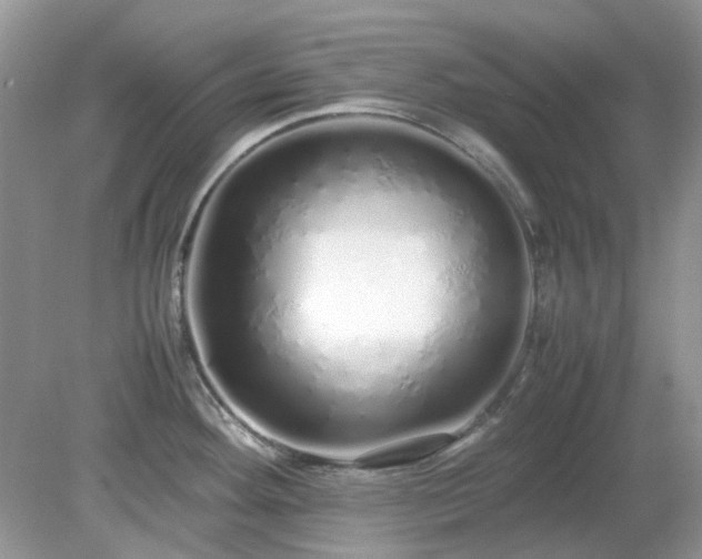 X0000079301292200611251703