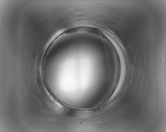 X0000079301293200611251703