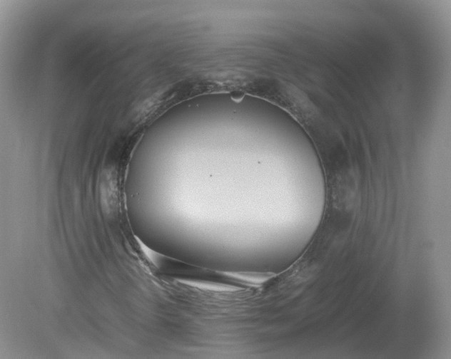X0000079301298200611251702