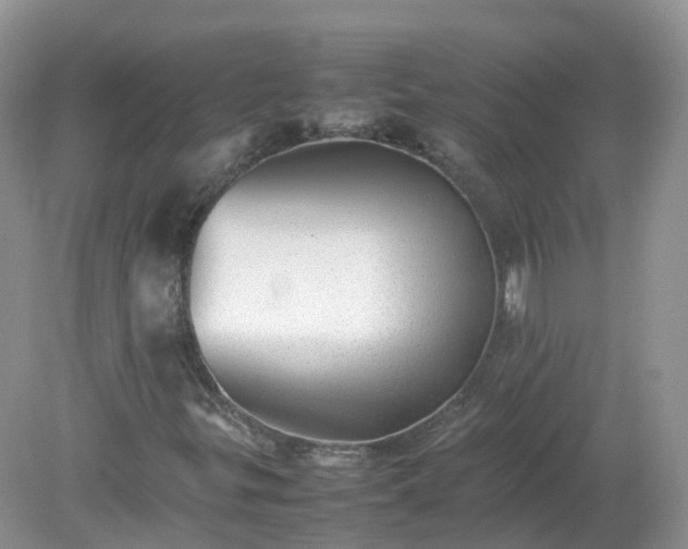 X0000079301299200611251702