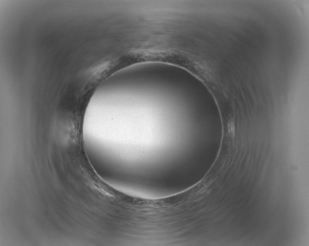 X0000079301300200611251702