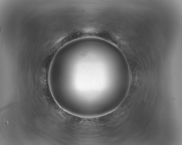 X0000079301301200611251702