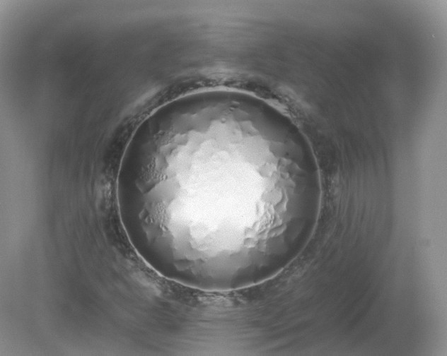 X0000079301302200611251702