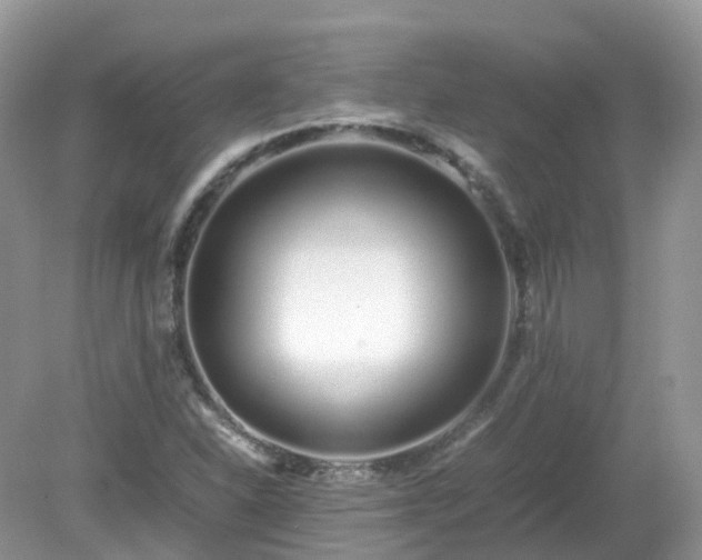 X0000079301310200611251703