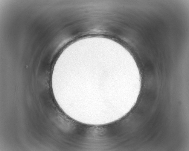 X0000079301314200611251703