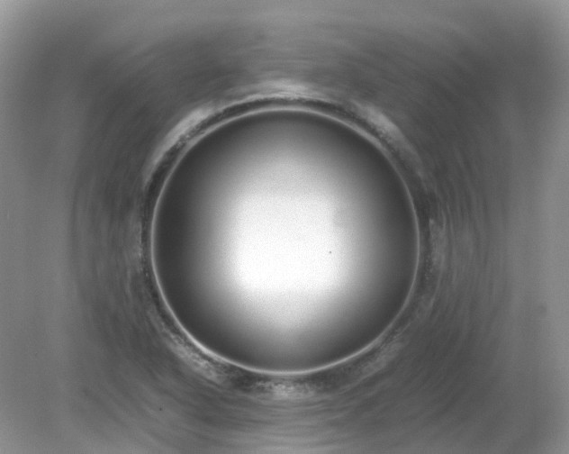 X0000079301318200611251703