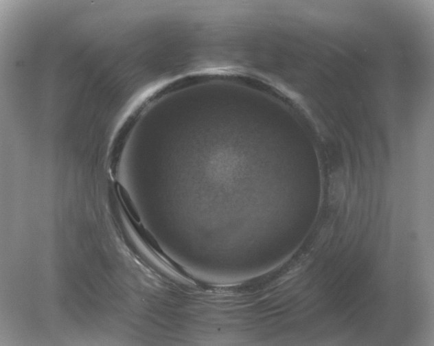 X0000079301319200611251703