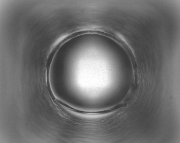 X0000079301320200611251703