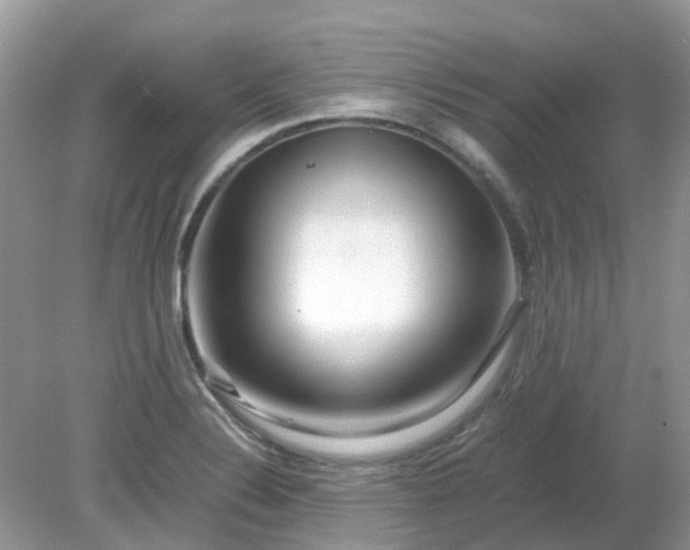 X0000079301324200611251703