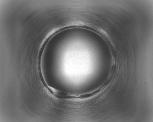 X0000079301326200611251703