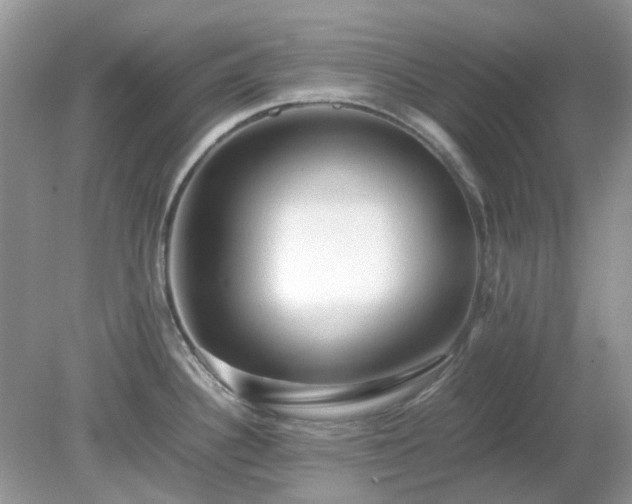X0000079301340200611251703