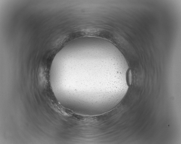 X0000079301346200611251702