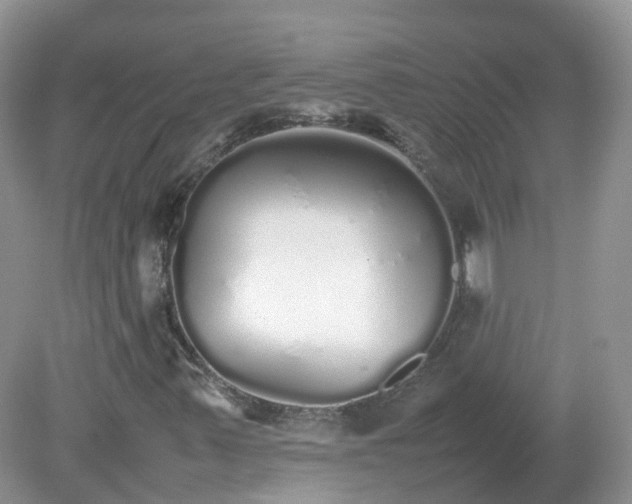 X0000079301347200611251702