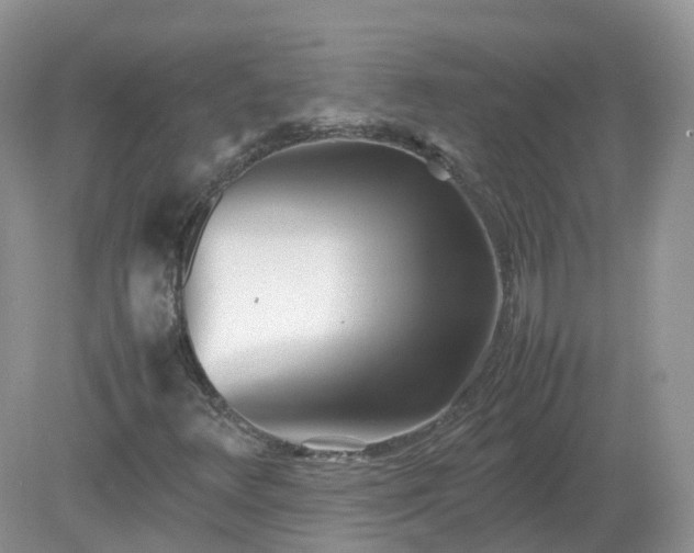 X0000079301348200611251702