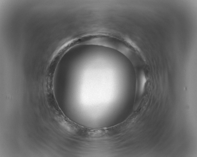 X0000079301352200611251702