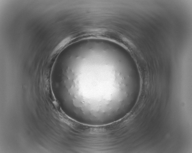 X0000079301354200611251702
