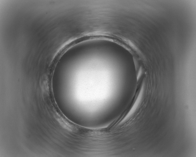 X0000079301356200611251702