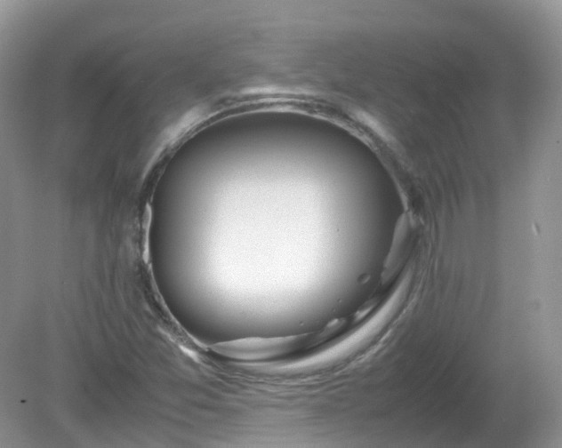 X0000079301357200611251702
