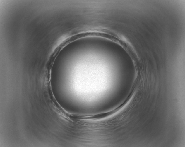 X0000079301360200611251702