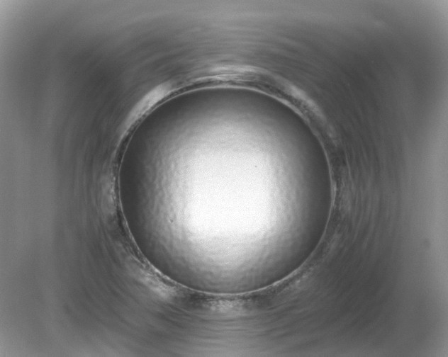 X0000079301362200611251702