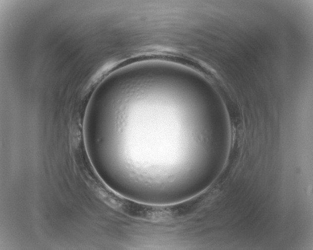 X0000079301363200611251702