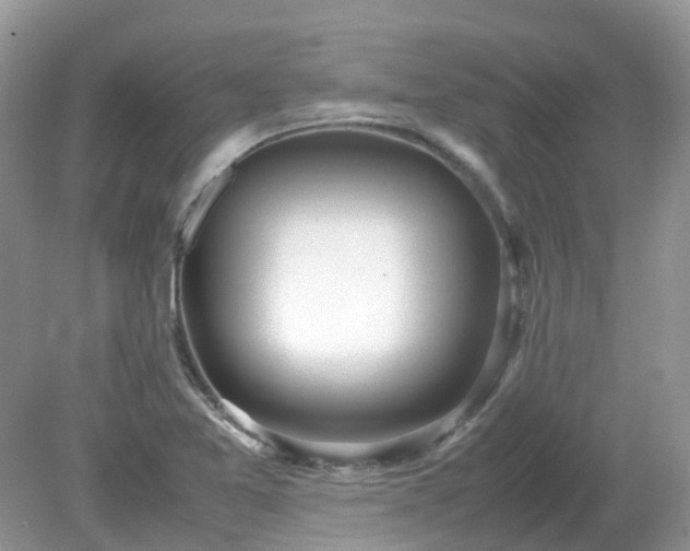 X0000079301365200611251702