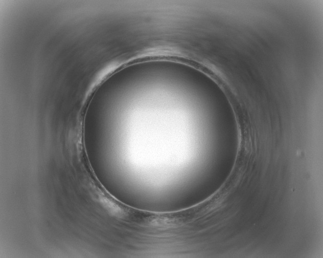 X0000079301366200611251702