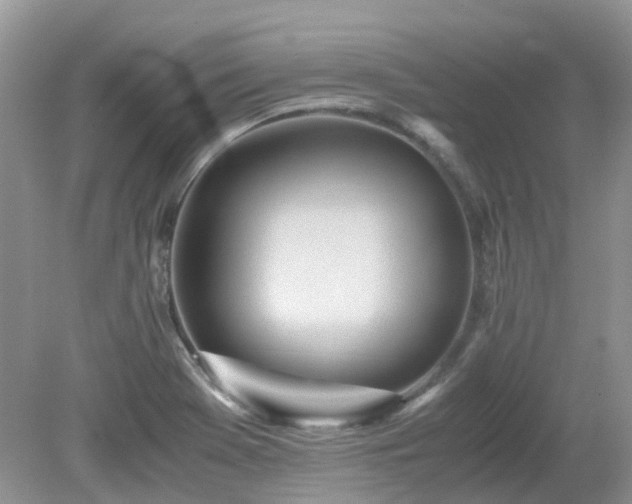 X0000079301369200611251702