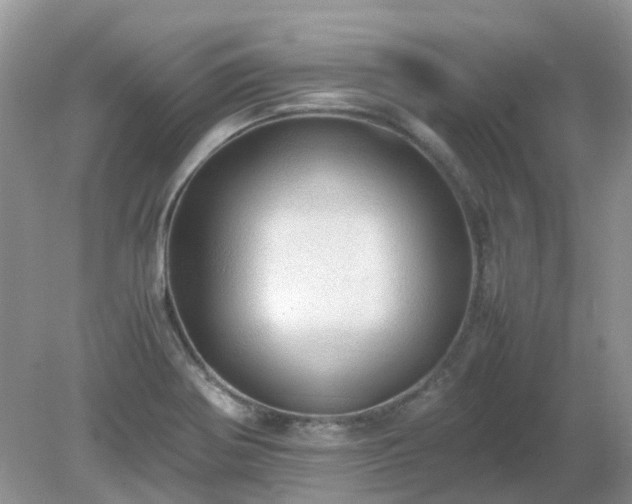X0000079301370200611251702
