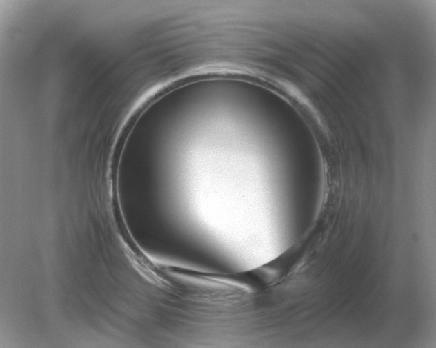 X0000079301372200611251702