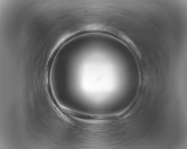 X0000079301376200611251702