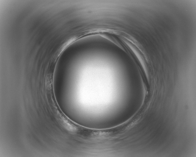 X0000079301377200611251702