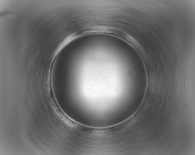 X0000079301378200611251702