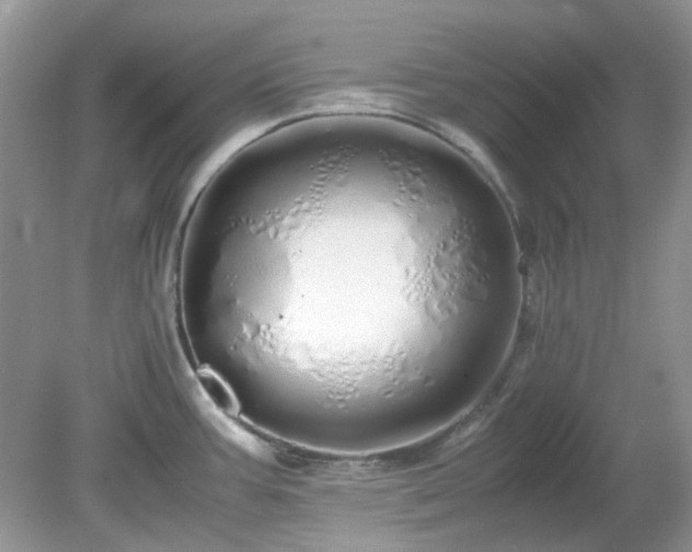 X0000079301387200611251702