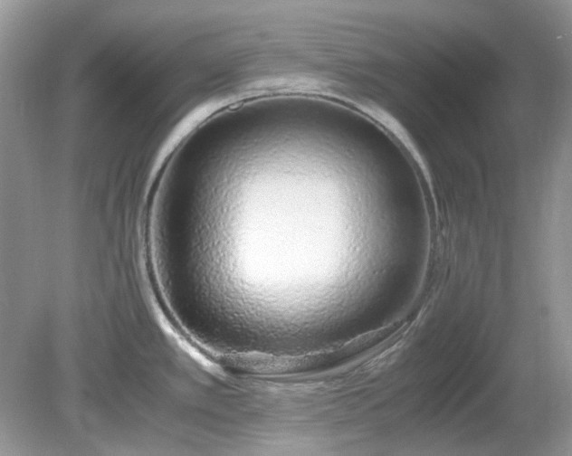 X0000079301389200611251702