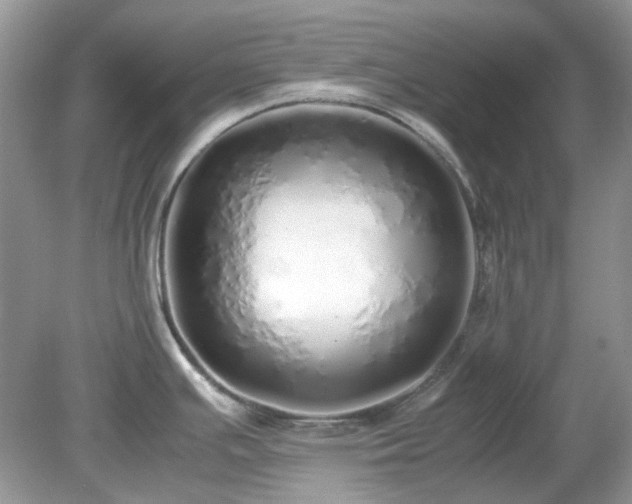 X0000079301391200611251702